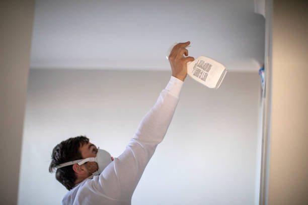 Best Residential Mold Removal  in Howard, WI