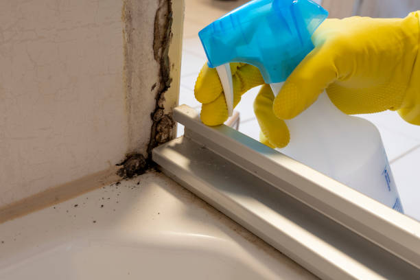 Best Water Damage Restoration  in Howard, WI