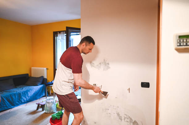 Best Home Mold Removal  in Howard, WI
